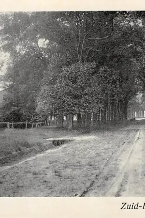 Premium Zuidlaren Bosch gezicht Mooi Drenthe HC23992