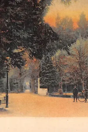 Assen Buiten Sociëteit HC17944 Premium