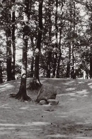 Rolde Balloerkuil HC17684 Promocja