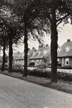 De Krim Drenthe Beukenlaan 1961 HC26439 Kup teraz