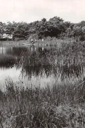 Westlaren Vennetje 1967 Zuidlaren Drenthe HC25985 Oferta