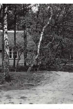 Zamów teraz Grolloo Drenthe Bonds Vacantie Oord De Berenkuil 1960 HC16797