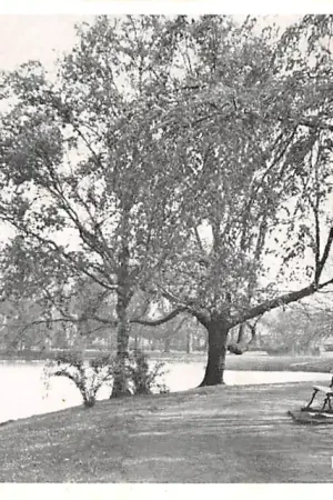 Promocja Meppel Wilhelminapark 1961 HC16793