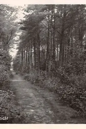 Schoonoord Boschgezicht rond 1940 Drenthe HC16789 Oferta