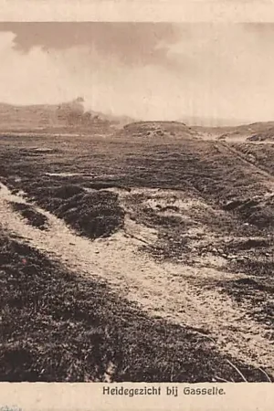 Ostatnia szansa Gasselte Heidegezicht Mooi Drenthe HC6264