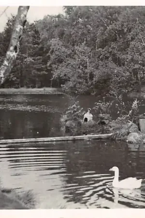 Tylko dziś Emmen Zandmeer HC3386