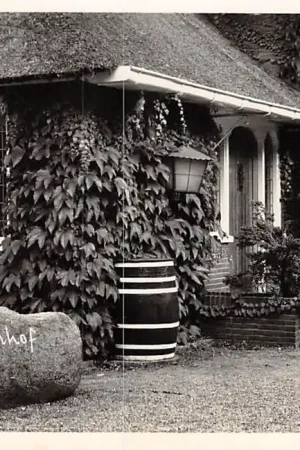 Zuidlaren De Berkenhof Drenthe HC2845 Zamów teraz