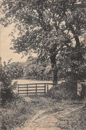 Kup teraz Gieten Bij het Zwanenmeer HC2803