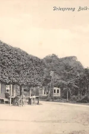 Driesprong Balk - Wijckel - Sondel 1923 De Friese Meren Friesland HC61523 Darmowa dostawa