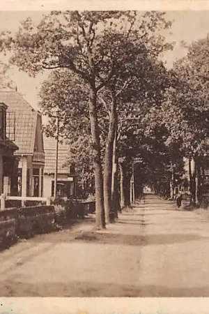 Appelscha Boschlaan HC60671 Niska cena