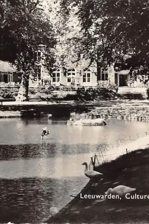 Leeuwarden Cultureel Centrum Prinsentuin 1960 HC58430 Promocja