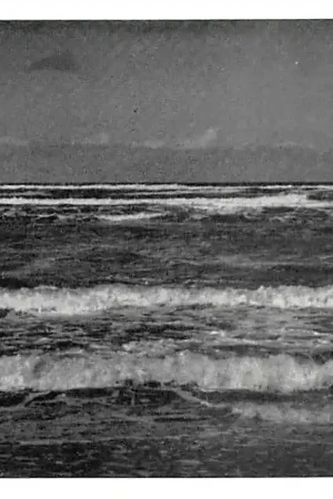 Terschelling Branding Noordzee HC57866 Ekspresowa dostawa