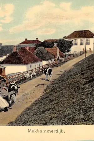 Workum Makkummerdijk met koeien HC55508 Tani