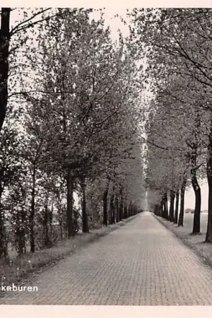 Promocja Lemmerweg bij Munnekehuizen 1953 Friesland HC54367