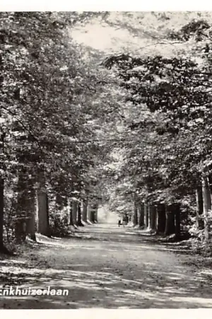 Rijs Gaasterland Enkhuizerlaan 1955 HC51795 Wyprzedaż