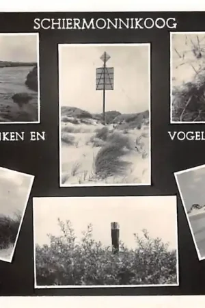 Schiermonnikoog Langs slenken en vogelkolonie naar de Willemsduin 1954 HC49867 Tani