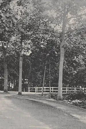 Oranjewoud 1916 Heerenveen HC52959 Najlepsza cena