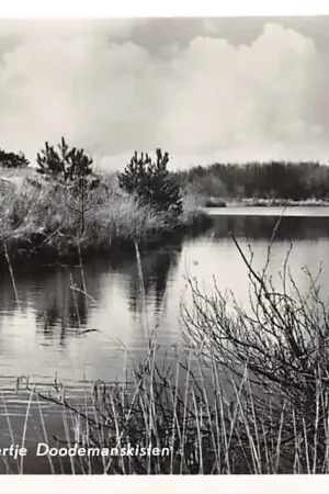 Szybka dostawa Terschelling Duinmeertje Doodemanskisten 1960 HC47150