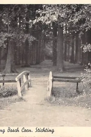 Kup teraz Beetsterzwaag Ingang Bosch Corn. Stichting met houten' bruggetje HC45744