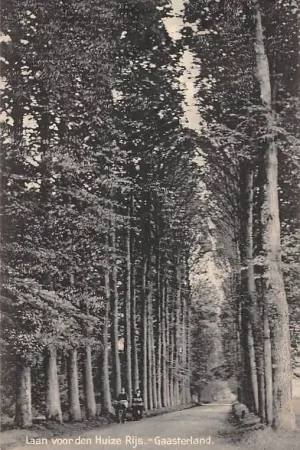 Wyprzedaż Rijs Laan voor den Huize Rijs Gaasterland Friese Meren HC43400