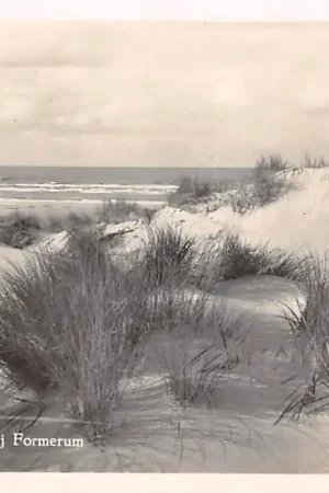 Premium Terschelling Duinen bij Formerum HC42616