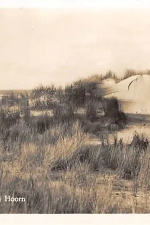 Terschelling Duinen bij Hoorn (FR) HC42608 Najlepsza cena