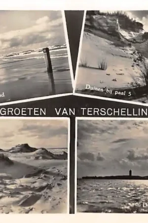 Wyprzedaż Terschelling Strandpaal 11 bij Midsland Duinen bij Paal 5 Stuifduinen Dellewal HC42597