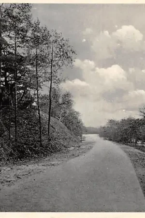 Appelscha In de duinen 1934 HC38769 Ekspresowa dostawa