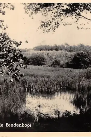 Vlieland Meertje Oude Eendenkooi 1947 HC36255 Oryginalny