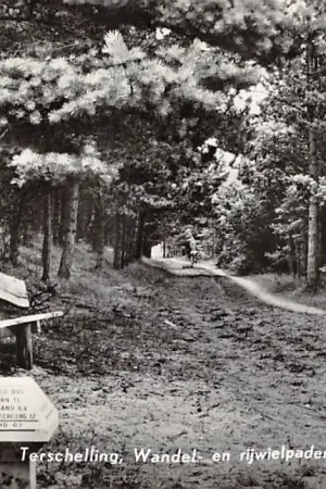 Darmowa dostawa Terschelling Wandel-en rijwielpaden door de dennebossen 1967 HC36113