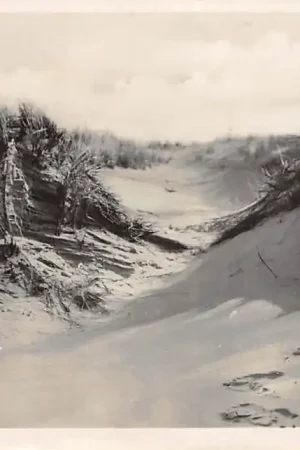 Terschelling Duinbrok 1932 Waddeneilanden HC33520 Wyprzedaż
