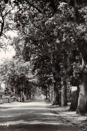 Oudemirdum Jan Schotanusweg Tractor 1966 De Friese Meren HC28888 Kup teraz