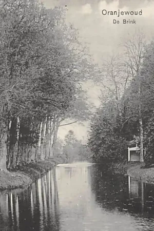 Heerenveen Oranjewoud De Brink 1912 HC25843 Premium