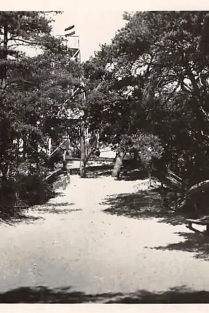 Popularny Appelscha Belvedère 1949 HC25165