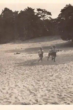 Appelscha Duinen 1953 HC25160 Szybka dostawa