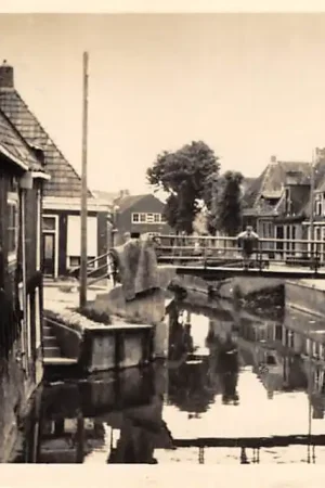 Arum Zilverstreek Friesland HC22118 Oferta