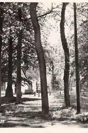 Wyprzedaż Oranjewoud Boschgezicht Heerenveen 1950 HC21705