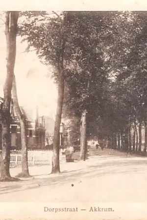 Zamów teraz Akkrum Dorpsstraat 1918 Friesland Heerenveen HC11975