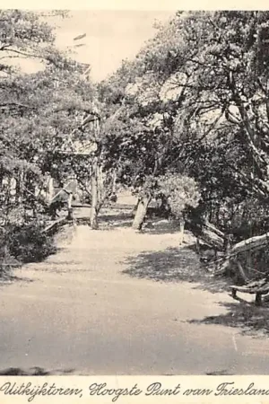 Appelscha 1938 De Boschberg met Uitkijktoren Hoogste Punt van Friesland HC1889 Oferta