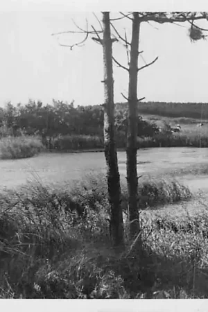 Zwrot pieniędzy Ameland 1951 Katteplas HC1886