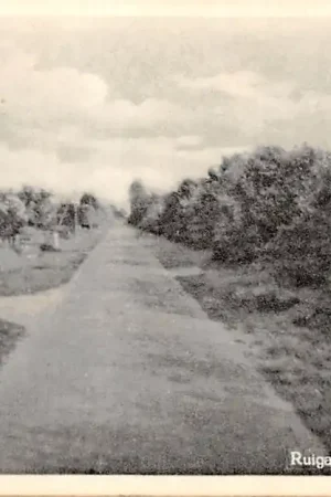 Darmowa dostawa Ruighuizen Balk Gaasterland HC773