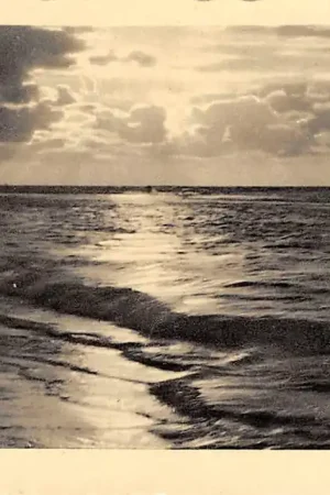 Wyprzedaż Hollum Ameland Avondstemming bij het strand HC102