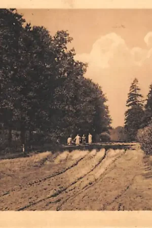 Popularny Lunteren Cuneraweg Veluwe HC61499