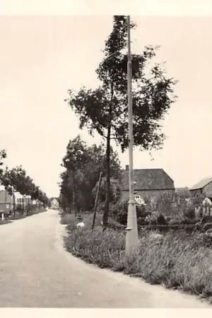 Brakel Molensteeg 1957 Zaltbommel HC61464 Bezpieczna płatność