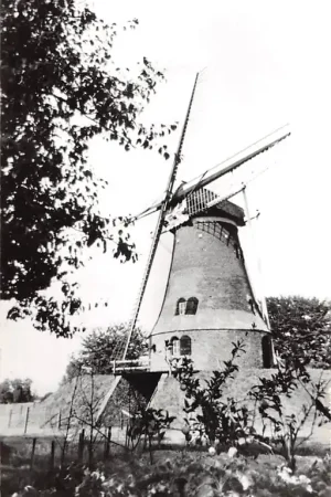 Rekken Papiermolen Achterhoek HC61082 Tylko dziś