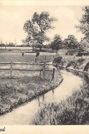 Popularny Renkum Quaden Oord 1942 Veluwe HC60961