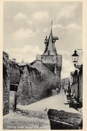 Tani Elburg Oude muur met poort Veluwe HC60940