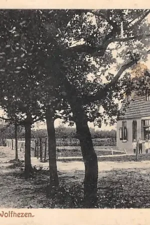 Wolfheze Wolfhezen Oosterbeekscheweg 1922 Renkum Veluwe HC60665 Szybka dostawa