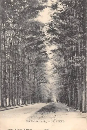 De Steeg Middachter allee 1906 Nauta 1089 Renkum Veluwe HC59652 Wysoka jakość