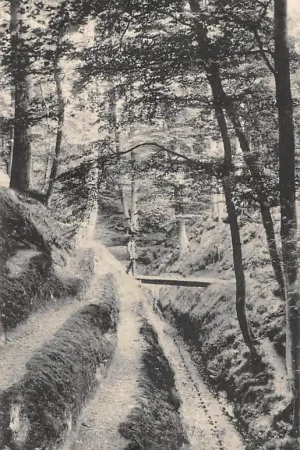 Tani Rozendaal Roosendaal' Klein Zwitserland' 1917 HC59070